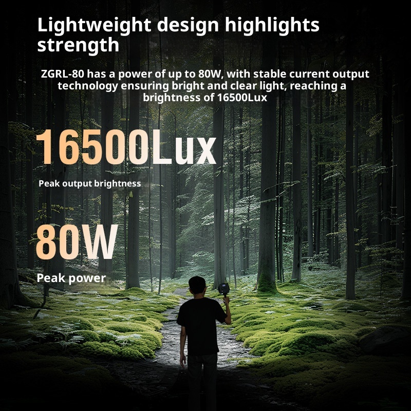 ZGRL80 80W COB LED 비디오 라이트 휴대용 - Photography Lighting For Outdoors 리뷰 및 가격